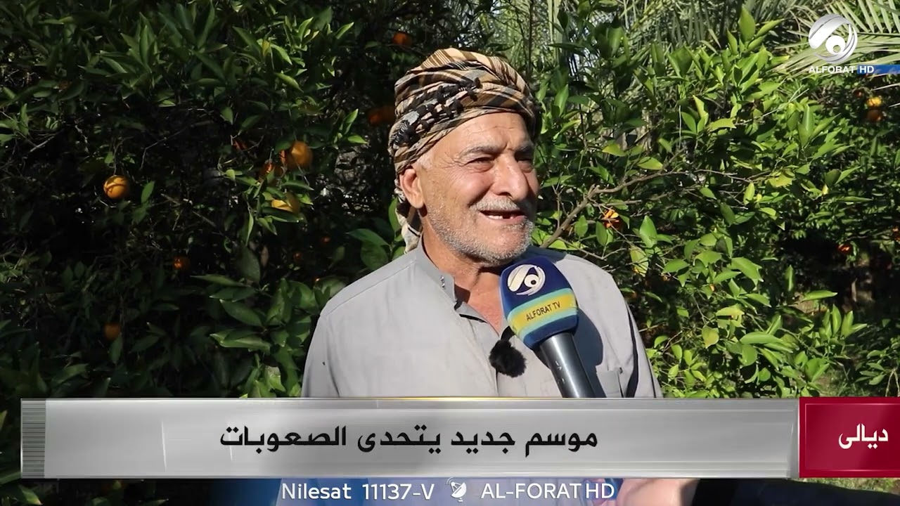 فيديو | برتقال ديالى يعود بحضور لافت هذا الموسم
