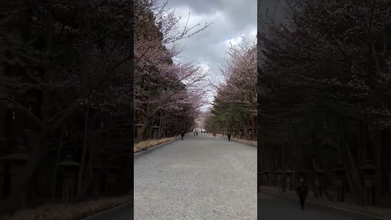 YouTube Short thumbnail