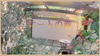 【在米ニート邦人Vlog】突然の解雇から半年。ニートの春はまろやか