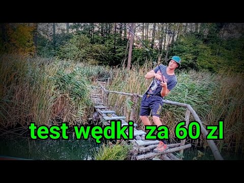 Test of the cheapest fishing rod with action for PLN 60 😁 #fish