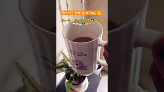 Work From Home || what I eat in a Day  || Mini Vlog #shortsfeed #trending #whatieatinaday