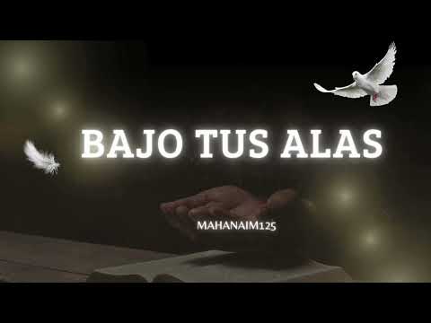 BAJO TUS ALAS VIDEO OFICIAL