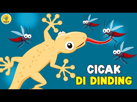Children's Song - Gecko on the Wall, Quietly Crawling - The Most Viral Children's & Toddler Song