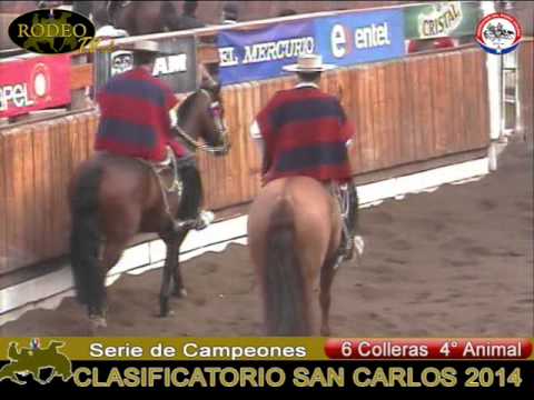 3er y 4to Animal Rodeo Clasificatorio San Carlos 2014