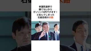 参議院選挙で勝てないからガソリン10円下げます！と叫んでしまった石破首相の末路… #石破茂 #自民党 #消費税 #shorts #海外の反応 #財務省 #増税 #減税 #雑学 #選挙 #政治 #議員
