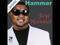 Jaye Hammer - Party Mood (DJadamt-House Party  Mix)