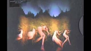 Amorphous AndrogynousThe Isness - High Tide On The Sea Of Flesh