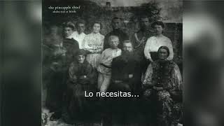 The Pineapple Thief - Private Paradise (Subtitulos en Español)