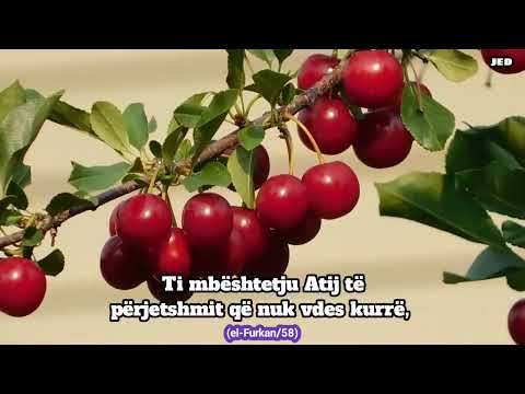 Ajeti 58 i Sures el-Furkan! Në çdo moment mbështetju All-llahut fuqiplotë dhe madhëroje Atë xh.sh!