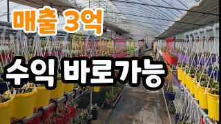 매출 3억 이상 바로 수익 가능한 하우스