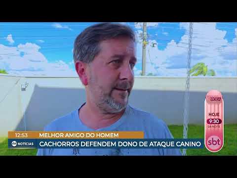 Transmissão ao vivo de SBT Rio