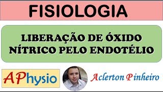 Liberação de Óxido Nítrico (NO) pelo Endotélio