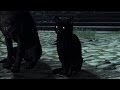 The Witcher 3 Wild Hunt PC HOS DLC Pt10 Scene From A Marriage Von Everec Estate