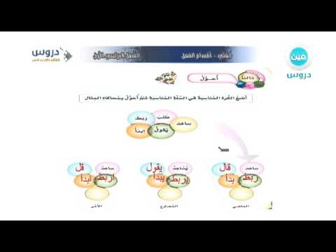 فيديو تعليمي