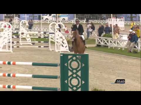 8 yo monte Bellini x Chacco blue gelding clear 1.40 m and place 4 in final knokke hippique 💫💫💫