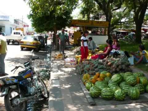 Taperepe Che Añomi - Nestor Damian Girett