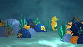 Ocean Vocal Exploration