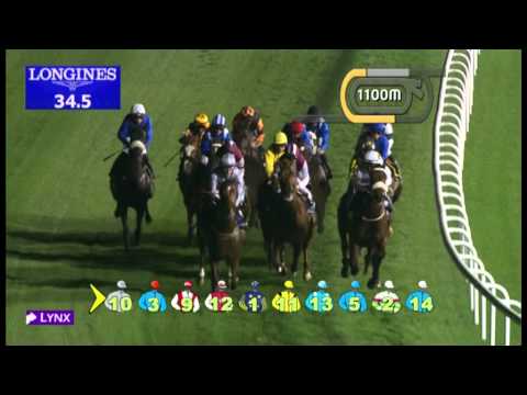 24.01.2013 Meydan (Dubai-UAE) 6.Race Meydan Beach Trophy - 1.600 m