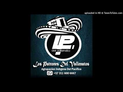 Tu Eres Mi Bonita  Los Patrones del Vallenato