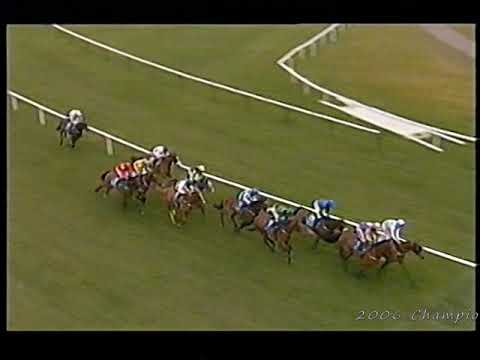 2006 Smurfit Kappa Champion Hurdle Inc Replay & Enclosure