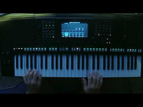 Yamaha PSR s775 Lian Ross Say youll never