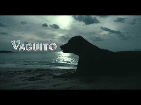 VAGUITO,TEASER