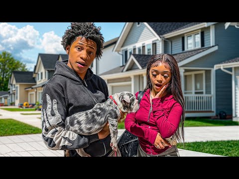 Bj Surprised Mya With A Exotic Puppy 