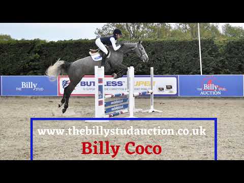 Billy Coco