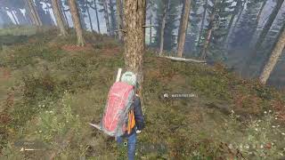 【Dayz】