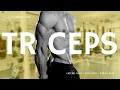 Best 4 Dumbbell Exercises for Triceps