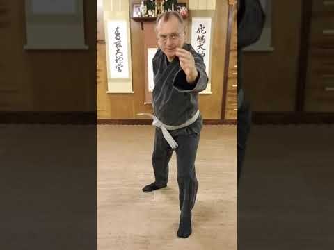 AZBujinkan - 02 - Gogyo