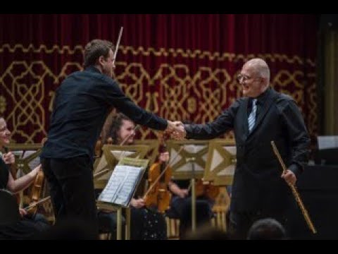 @ionbogdanstefanescu J.S.Bach - Concert in D minor