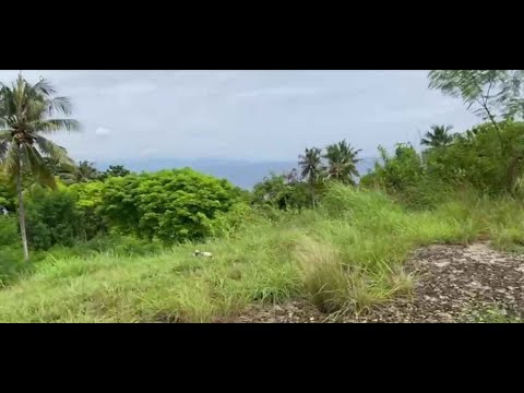 Land for sale with ocean view in Rua, West Sumba