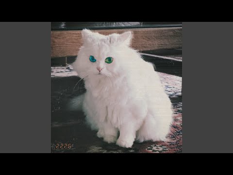 Greeting (Feat. myunDo)