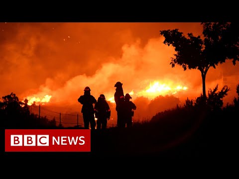野火是加州夢的終點嗎？- 英國廣播公司新聞 (Are wildfires the end of the Californian dream? - BBC News)