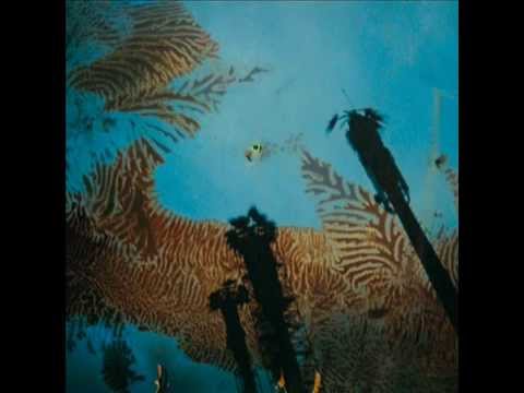 Capital - Niños del Cerro