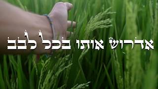רפי ביטון - עטוף לבן