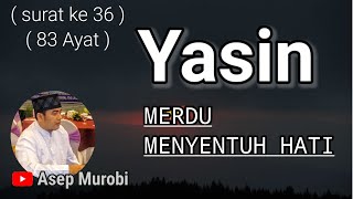 Download lagu SURAT YASIN MERDU. MENYENTUH HATI mp3 Download lagu SURAT YASIN MERDU. MENYENTUH HATI mp3