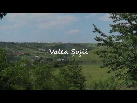 Valea Șoșii