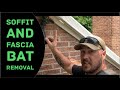 Soffit and Fascia Bat Removal (Exclusion with "The Bat Valve") - Huntsman Wildlife, LLC Soffit and Fascia Bat Removal (Exclusion with "The Bat Valve")