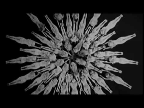 Nicky Smith/Nick Noble - Carousel