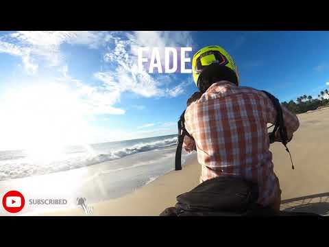 Beach ride with Appu! Squirrel's treat for Reunion with Human!
