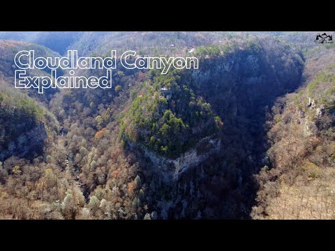 Top 3 Trails of Cloudland Canyon Explained
