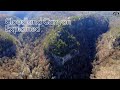 Top 3 Trails of Cloudland Canyon Explained