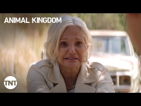 Animal Kingdom: Top 5 Moments From Last 5 Seasons [MASHUP] | TNT