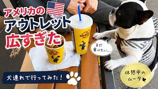 犬連れでアメリカのアウトレットへ🇺🇸ノースフェイスが安すぎた！！