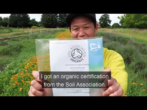 自然農法　連作（Shumei Natural Agriculture 13 : Continuous cropping 1, 自然農法　連作について①）