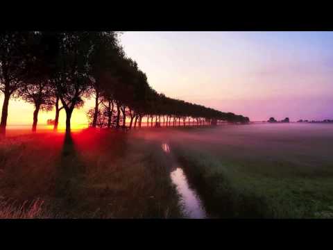 Phunk-A-Delic - Rockin' (Lost Frequencies Remix)