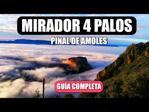 ⛺ Prices to go to MIRADOR 4 PALOS - Sierra Gorda ⛰️