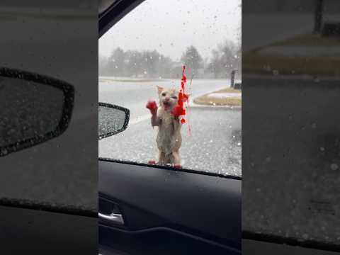 Phillies land All-Star closer Jhoan Duran ahead of MLB trade deadline 💔😥